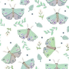 Fun Moths Gathering