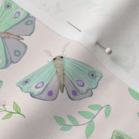 Pastel Moths Botanical Print