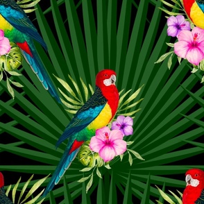 Tropical,exotic,summer,birds,flowers,parrots