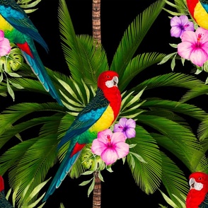 Tropical,exotic,summer,birds,flowers,parrots Tropical,exotic,summer,birds,flowers,parrots Tropical,exotic,summer,birds,flowers,parrots