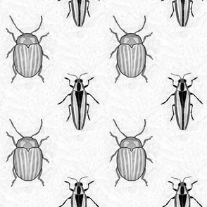 Black and White Retro Bugs