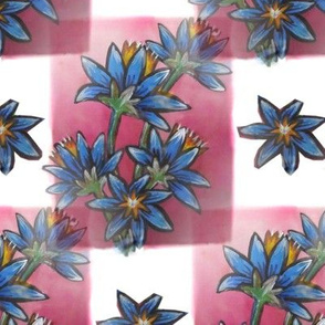 blue__red__white__flowers_and_squares
