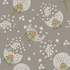 Dandelions Dove Grey_Iveta Abolina