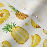 Medium Scale Tropical Pineapples Fruit Slices