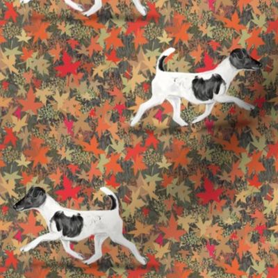 Smooth Fox Terrier in Autumn Leaves