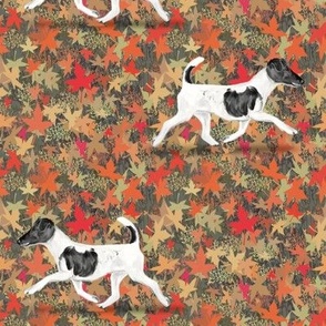 Smooth Fox Terrier in Autumn Leaves