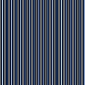 Grey and Sapphire Stripe 1 - Medium