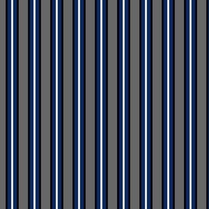 Grey and Sapphire Stripe 1 - Large