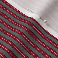 Grey and Ruby Stripe 2 - Medium