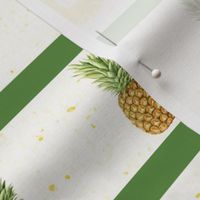 Bigger Scale Tropical Pineapple Slices and Stripes