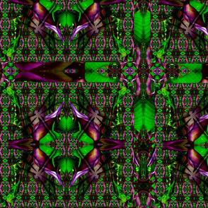 dragonfly_patterntest2