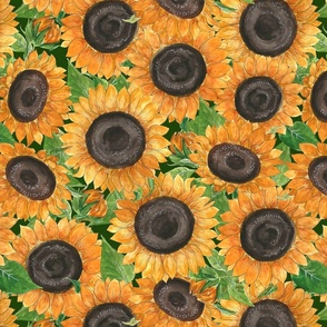 watercolour sunflowers on dark green 