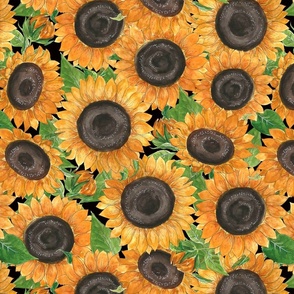 Watercolour sunflowers on black 