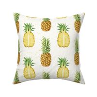 Large Scale Tropical Pineapples