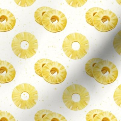 Medium Scale Tropical Pineapple Ring Slices