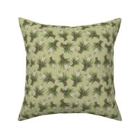 green-yucca-6 x 6 _150