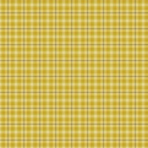 twill plaid_honey_gold