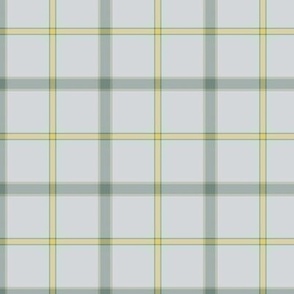 twill_plaid_powder_blue_gold