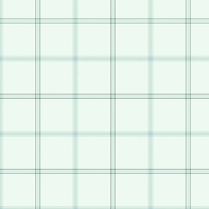 twill_plaid_mint-light