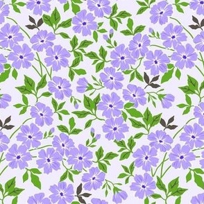 Lavender Flowers Garden