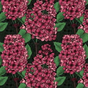 Red lilac on dark green