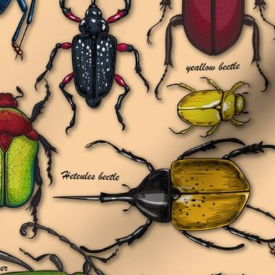 Vintage beetles