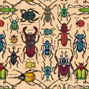 Vintage beetles