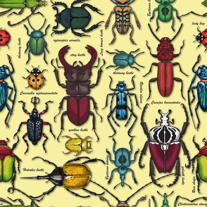 Beetles on  yellow