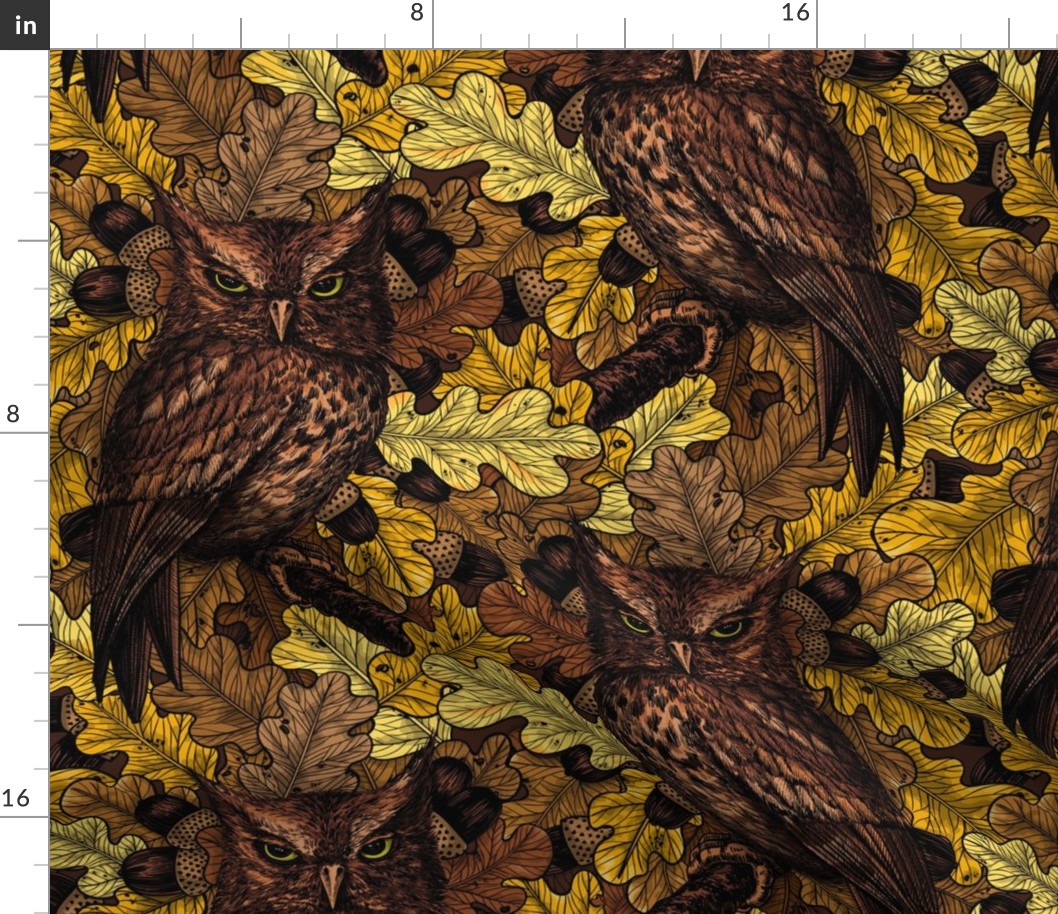 Autumn owls