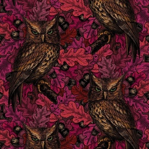 Autumn owls 2