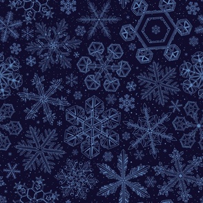 Blue Snowflakes on dark blue