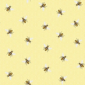 Bumble bees - yellow