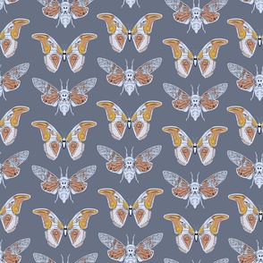 pattern with butterfly cicadas sketch, Sepia Rust blue lilac navy gray