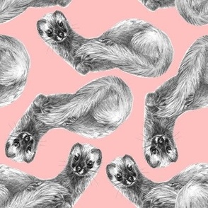 Kolinsky the Siberian Weasel pattern in pink
