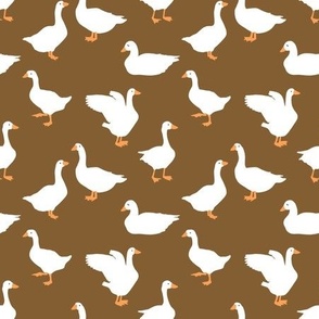 Geese Goose, Brown