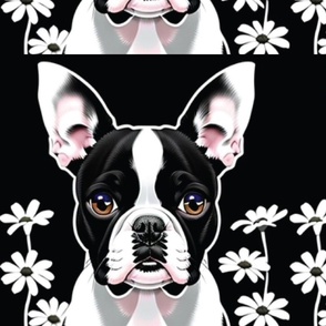 Boston Terrier Dog  white daisy for Quilt 16 x 15 inch panel  #16