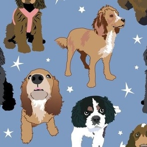 Cocker Spaniel Dogs and Stars blue background 