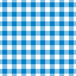 Gingham Pattern - True Blue and White