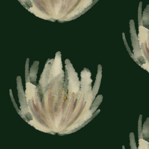 large water lily, cream over dark green
