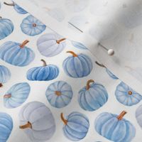 Small Scale Blue Pumpkins Fall Halloween Gourds on White