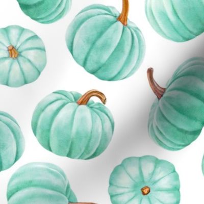 Large Scale Pastel Mint Green Spearmint Pumpkins Fall Halloween Gourds on White