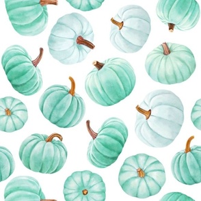 Large Scale Pastel Mint Green Spearmint Pumpkins Fall Halloween Gourds on White