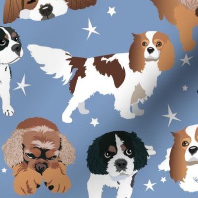 Clavier King Charles Cocker Spaniel Dogs stars and blue background 