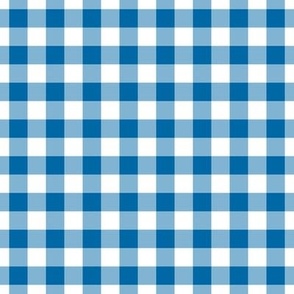 Gingham Pattern - French Blue and White