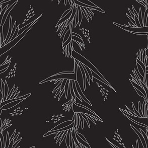 Heliconia Flower Line Art - Black and White