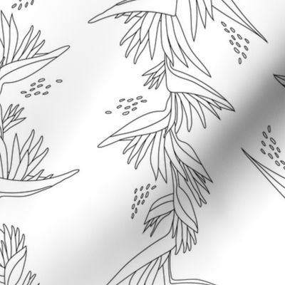 Heliconia Flower Line Art - White and Black