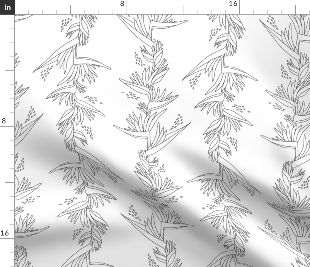 Heliconia Flower Line Art - White and Black