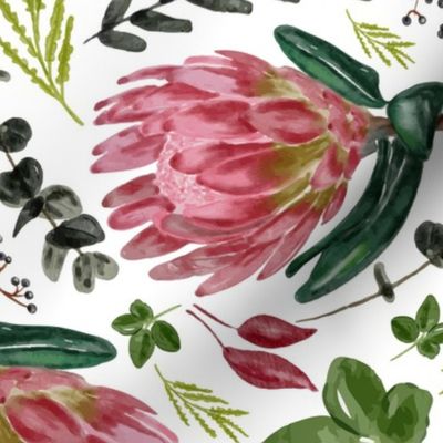 Protea botanical watercolor floral