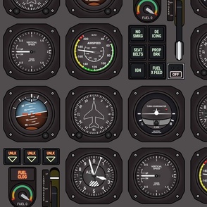 Pilot  Flight Instruments 