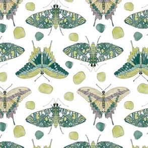 Spots and Butterflies (large scale) by JAF Studio